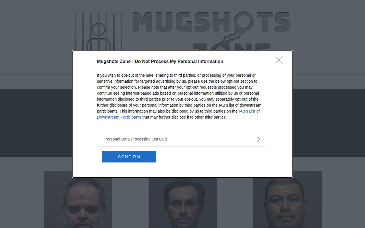 Unofficial New Hanover County monthly arrest archive interface